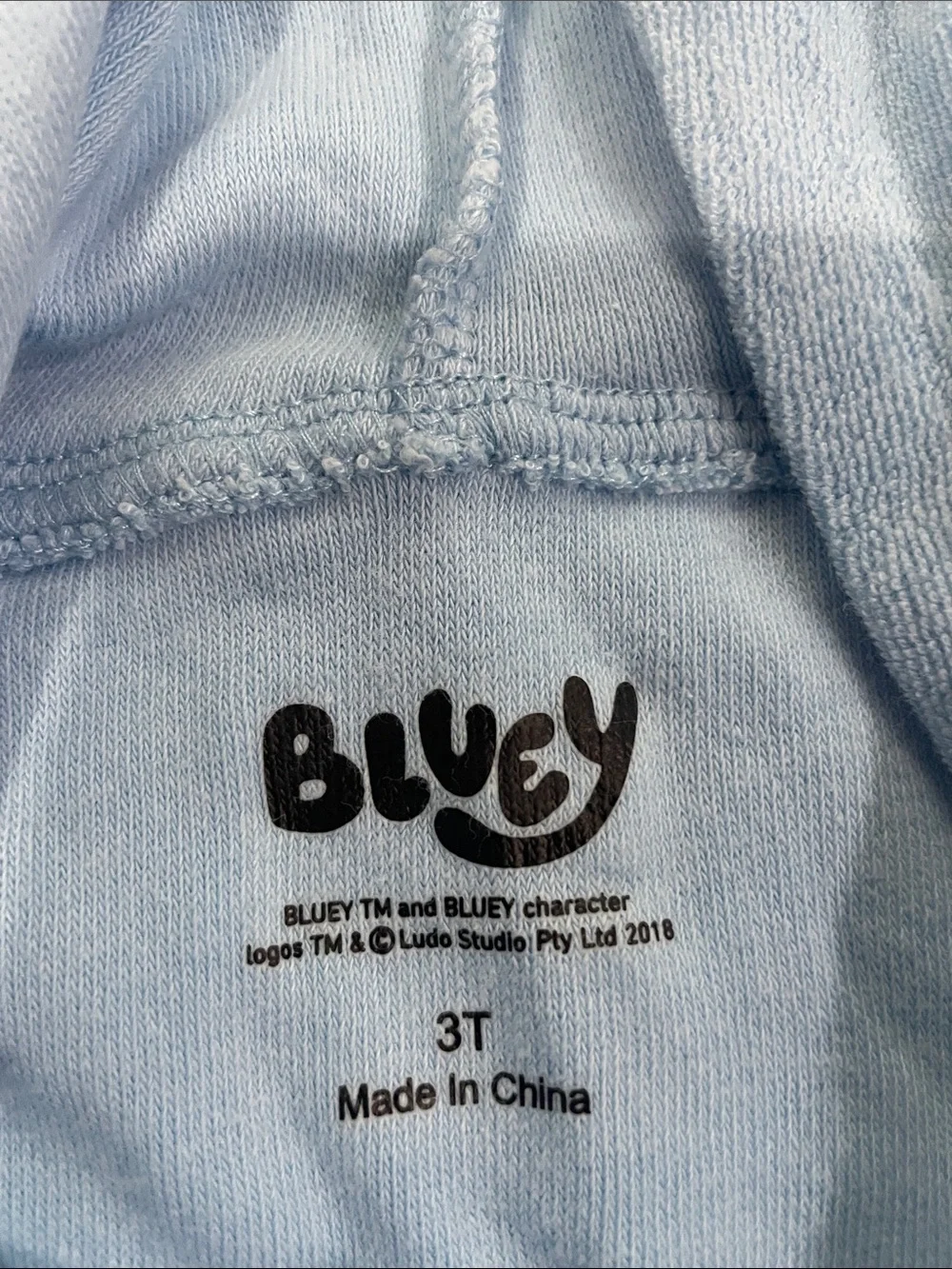 Bluey Terry Cloth Beach Coverup Dress